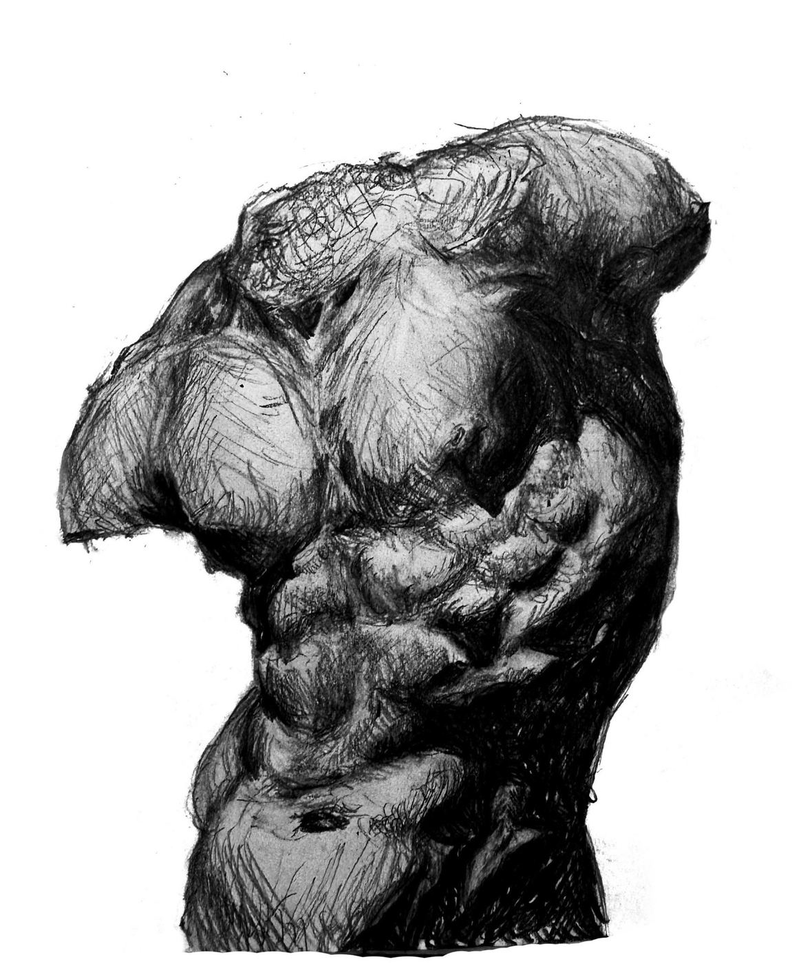 The Gaddie Torso - classical study