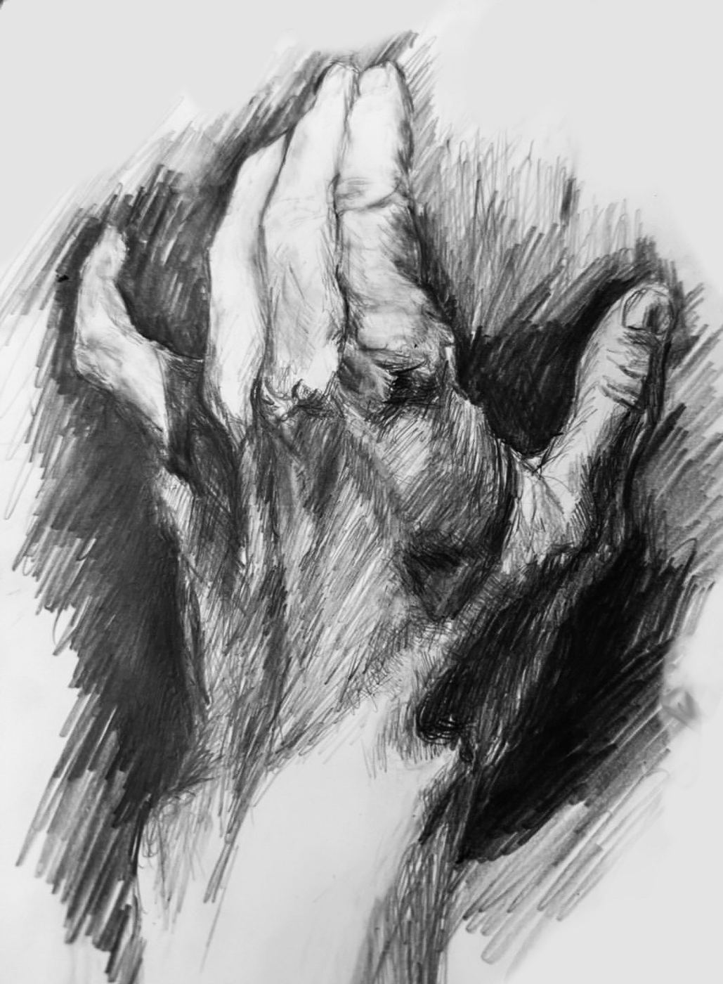 Hand Study - graphite drawing